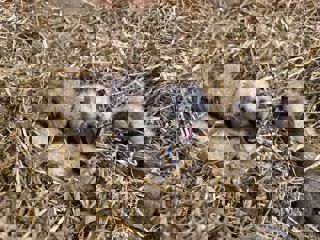 87742B30 4Aa3 4798 Acd3 060Efc2fea8a