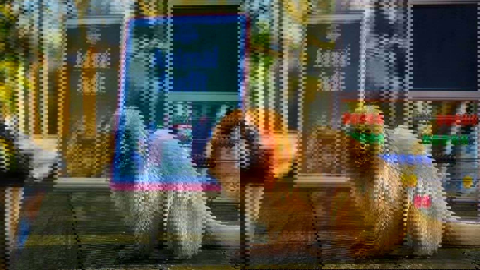 Dsc04930