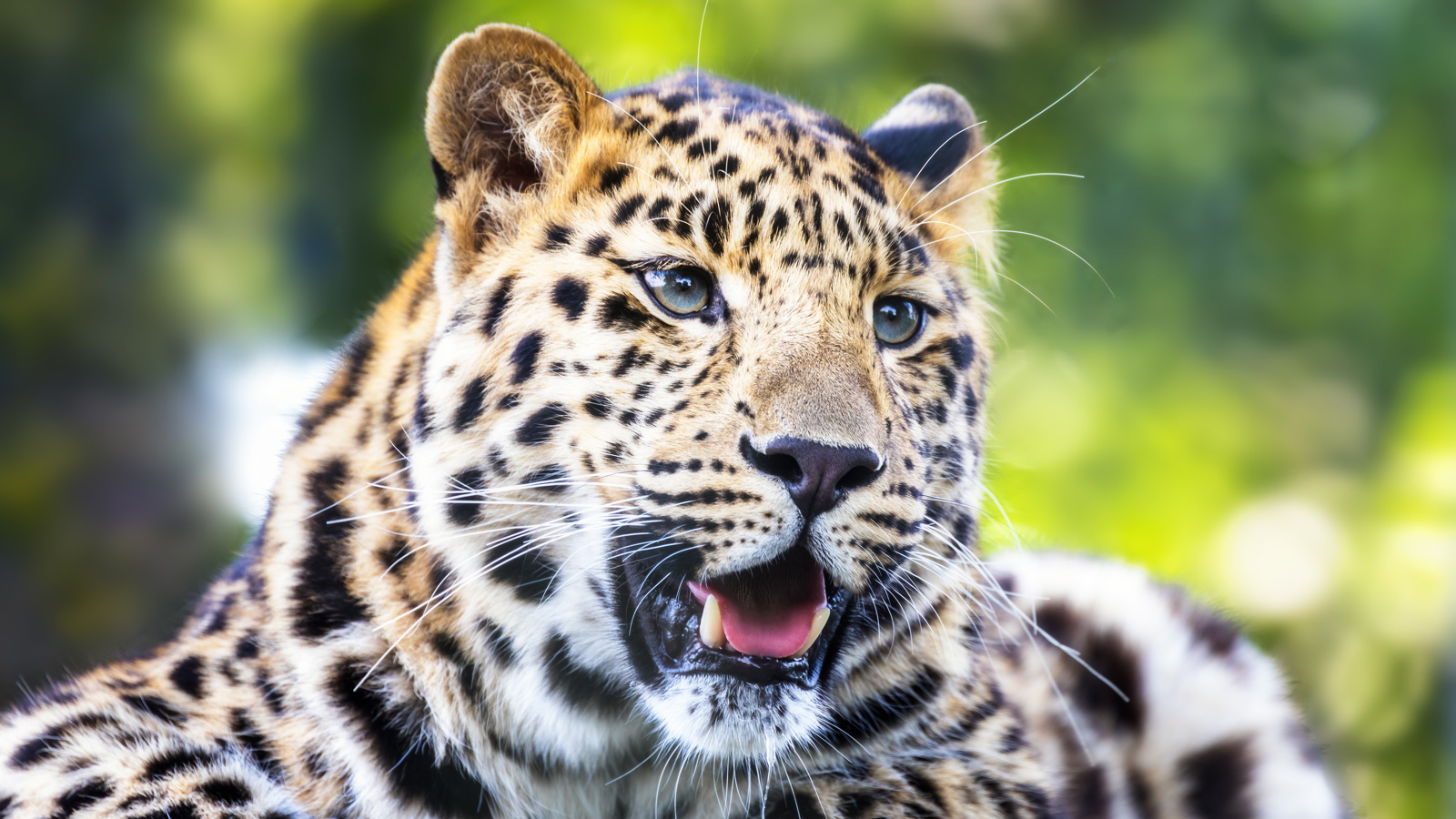 Adobestock 465083257