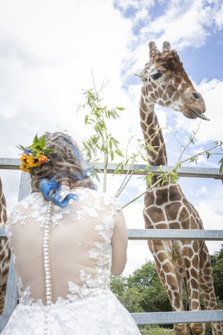 Tilly And Schochin Wedding (321 Of 724)