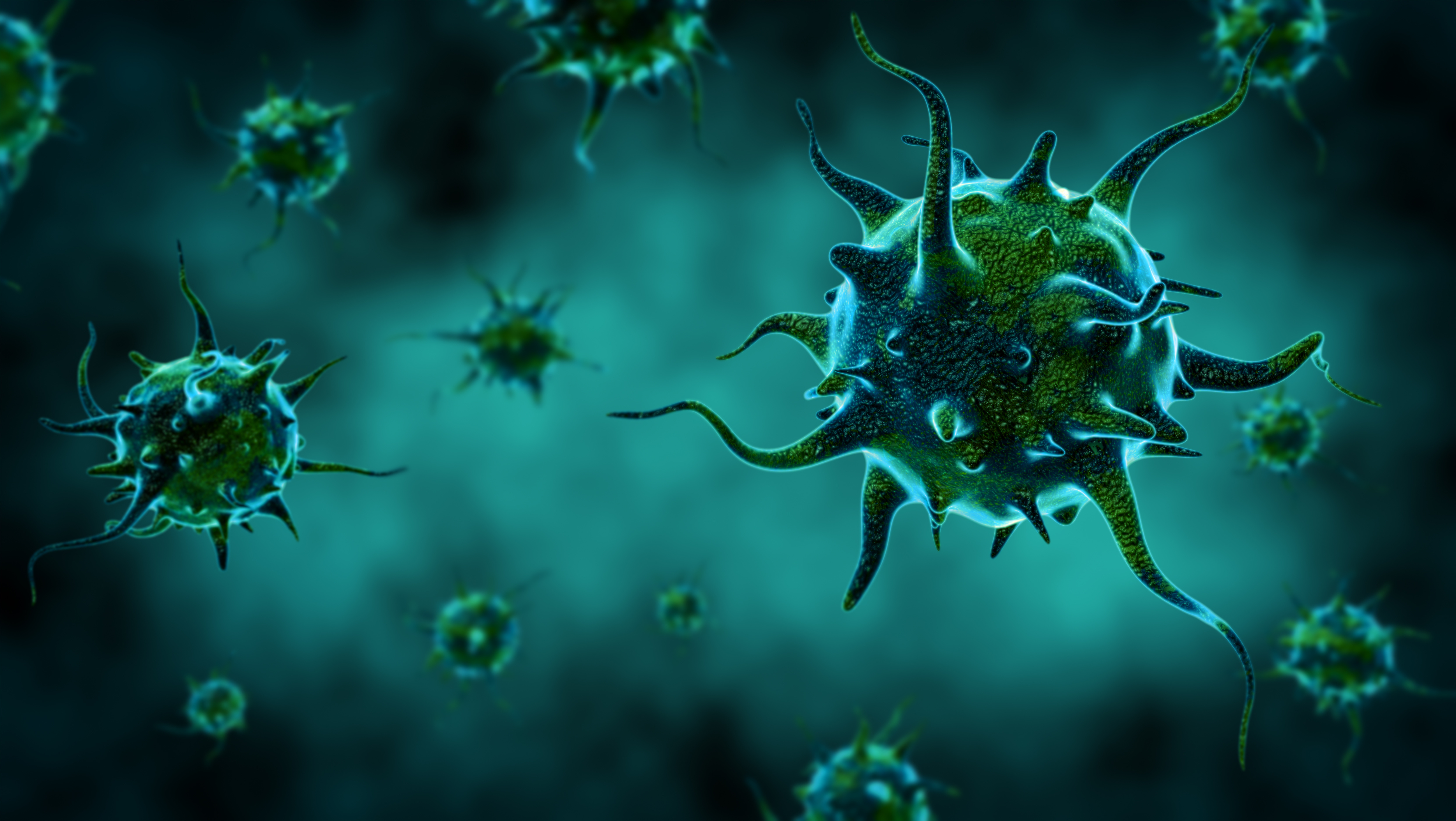 Adobestock 319349877