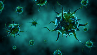 Adobestock 319349877