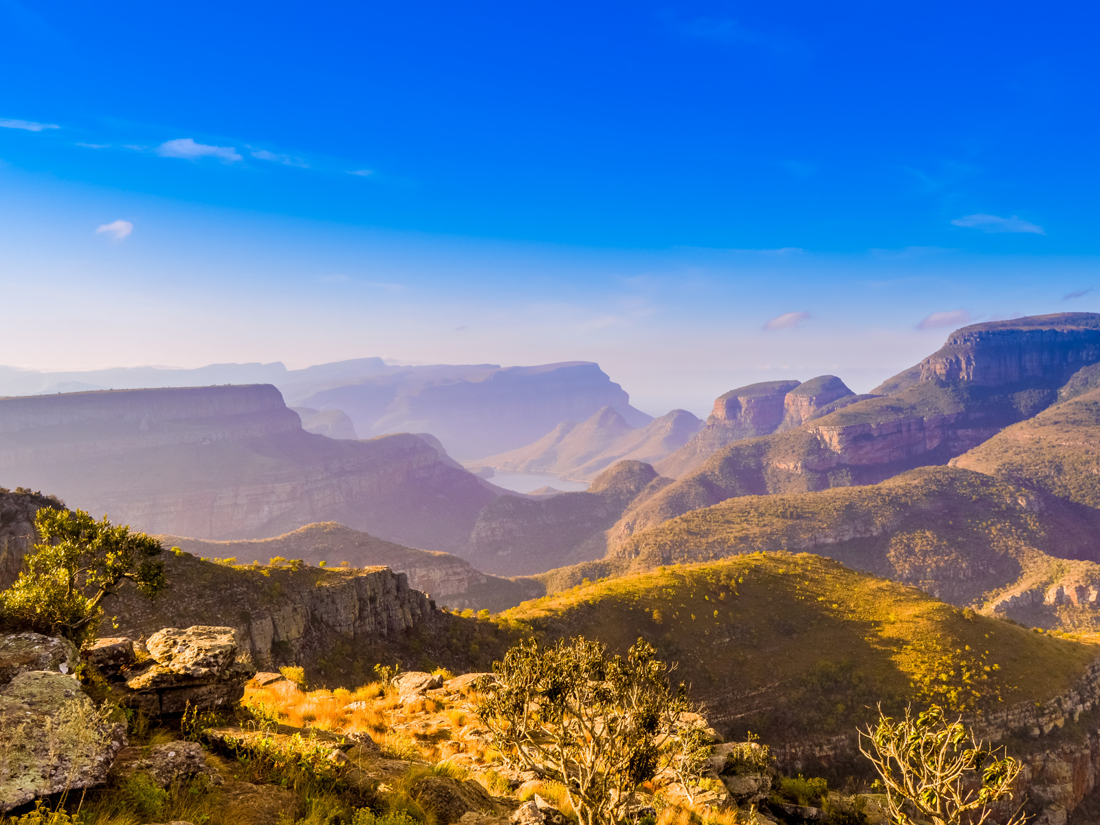 Adobestock 256681404