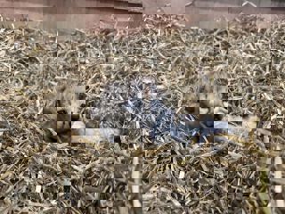 4Dabb08e Aaf1 46A3 B11b 04A17b60c394