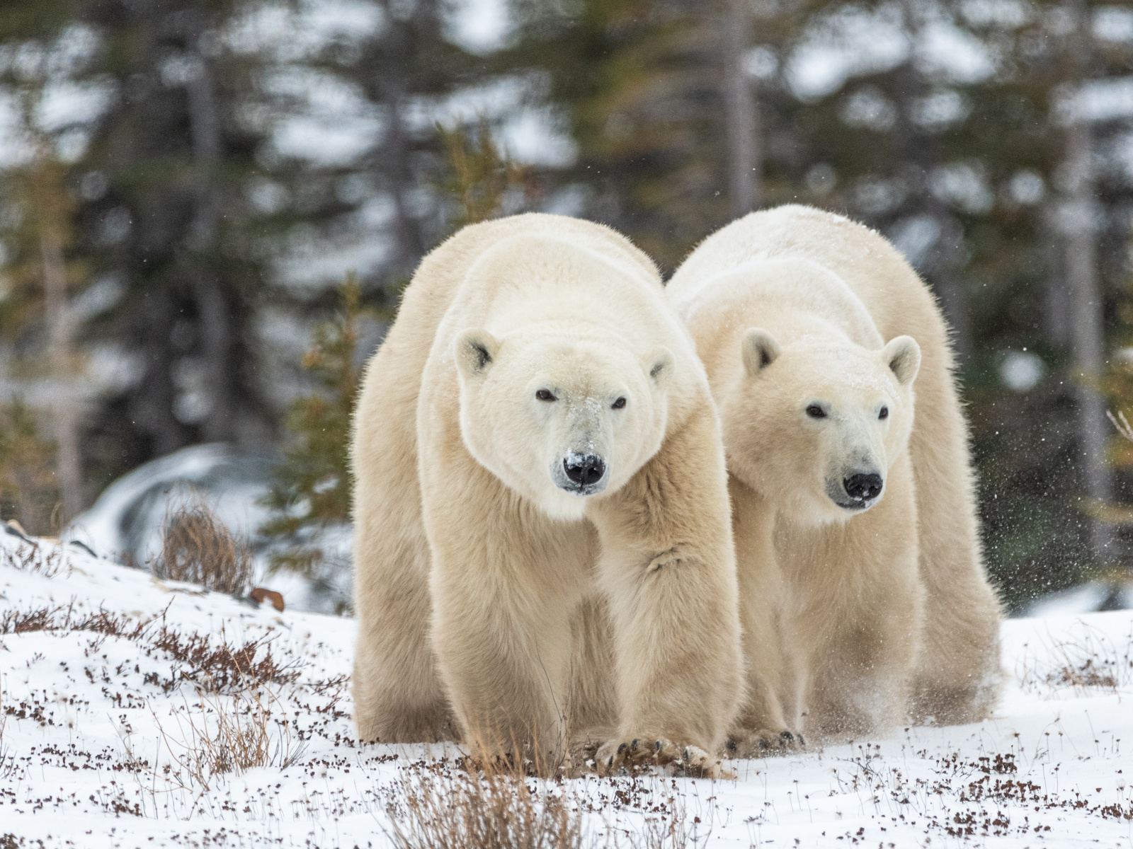 Adobestock 393695579