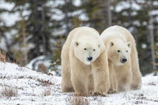 Adobestock 393695579