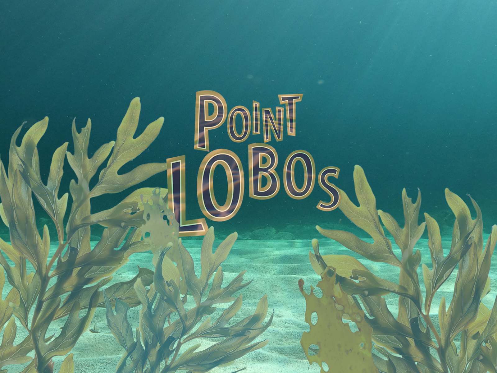 Point Lobos Carousel