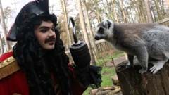 Captain Hook with a Lemur