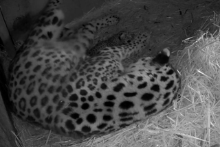 Screenshot 2023 06 22 At 12 01 14