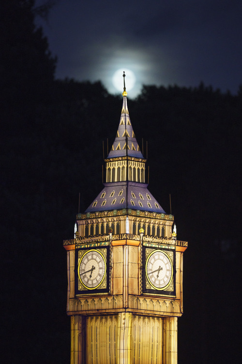 YWP Winter Lights 011