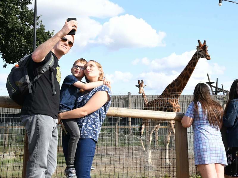 YWP Family Selfie With Giraffe