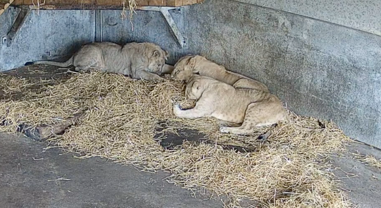 Screenshot 2025 10 29 At 10.46.30