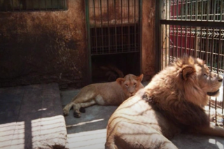 Screenshot 2023 10 12 At 14 30 18