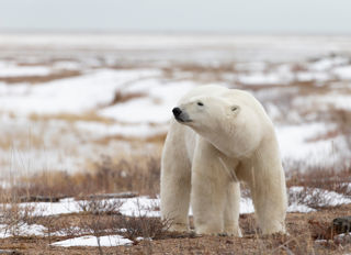 Adobestock 210212941