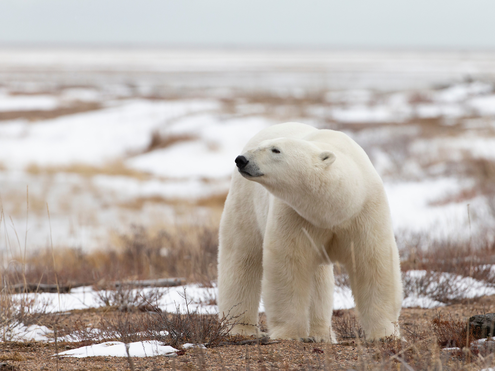 Adobestock 210212941