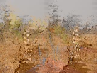 Corentin Marzin Ks5r03e Ff4 Unsplash