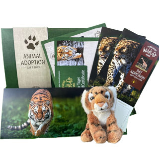 Adoption Box With Cuddly Toy