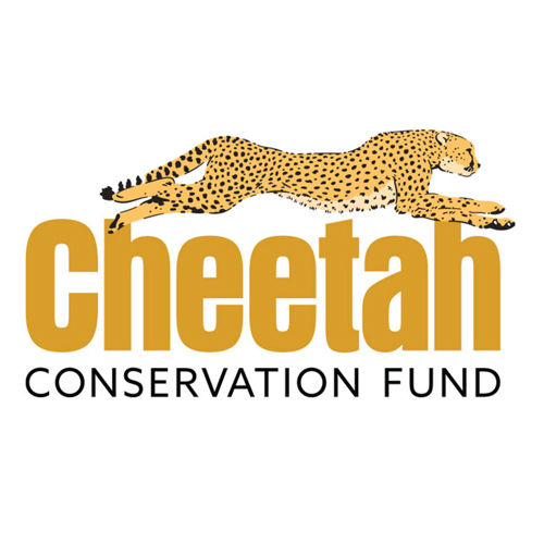 Cheetah Conservation Fun