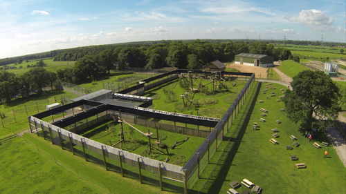 Leopard Aerial View High Enclosure