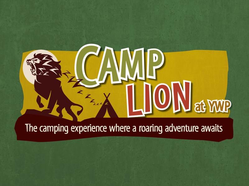 Camp Lion Yorkshire Wildlife Park