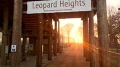 Leopard Heights Sign