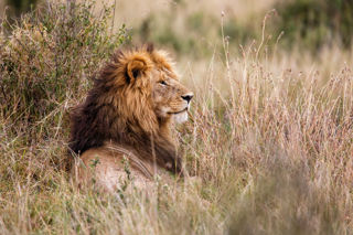 Adobestock 220022164