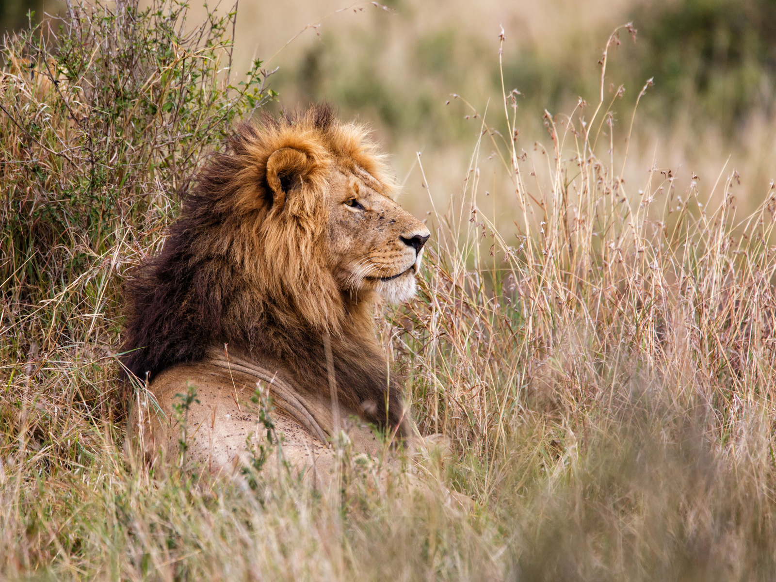 Adobestock 220022164