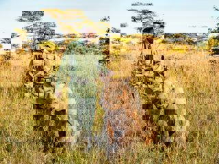 Willbaldlygo Bella 4 Large