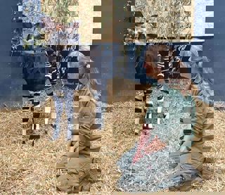 Okapi And Ranger Kyrie