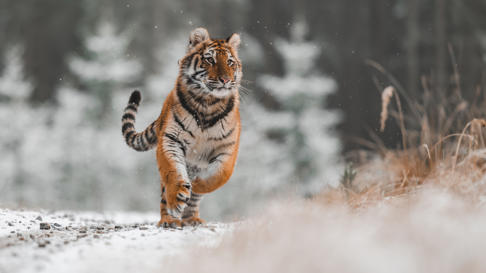 Adobestock 400620819