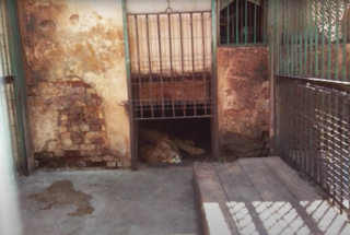 Screenshot 2023 10 12 At 14 29 44