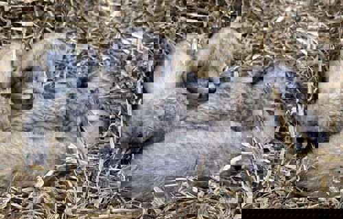 F3d07761 0C56 4944 Bfd2 87D066f5436c