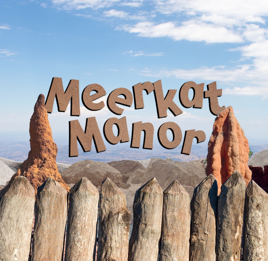 Meerkat Manor Carousel Copy