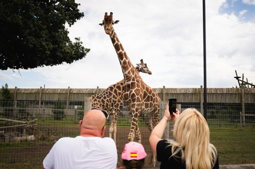 Ben Harrison Photography Www Benharrisonphotography Co Uk 188