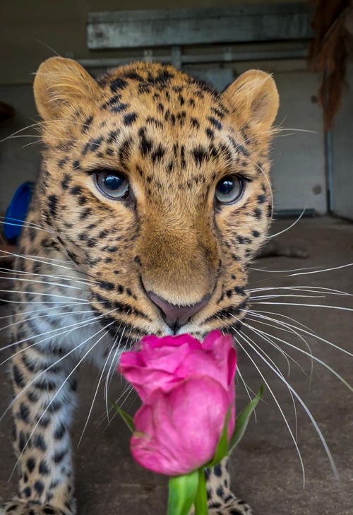 F7fce7bb 4286 4E35 Acba 1142B55b0b70