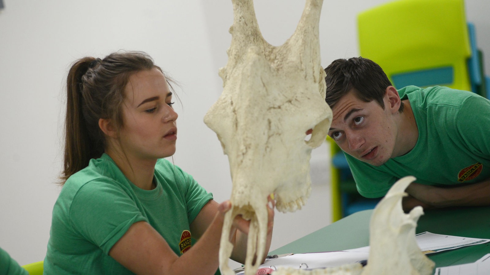 20737137091 57E9e35e5b O