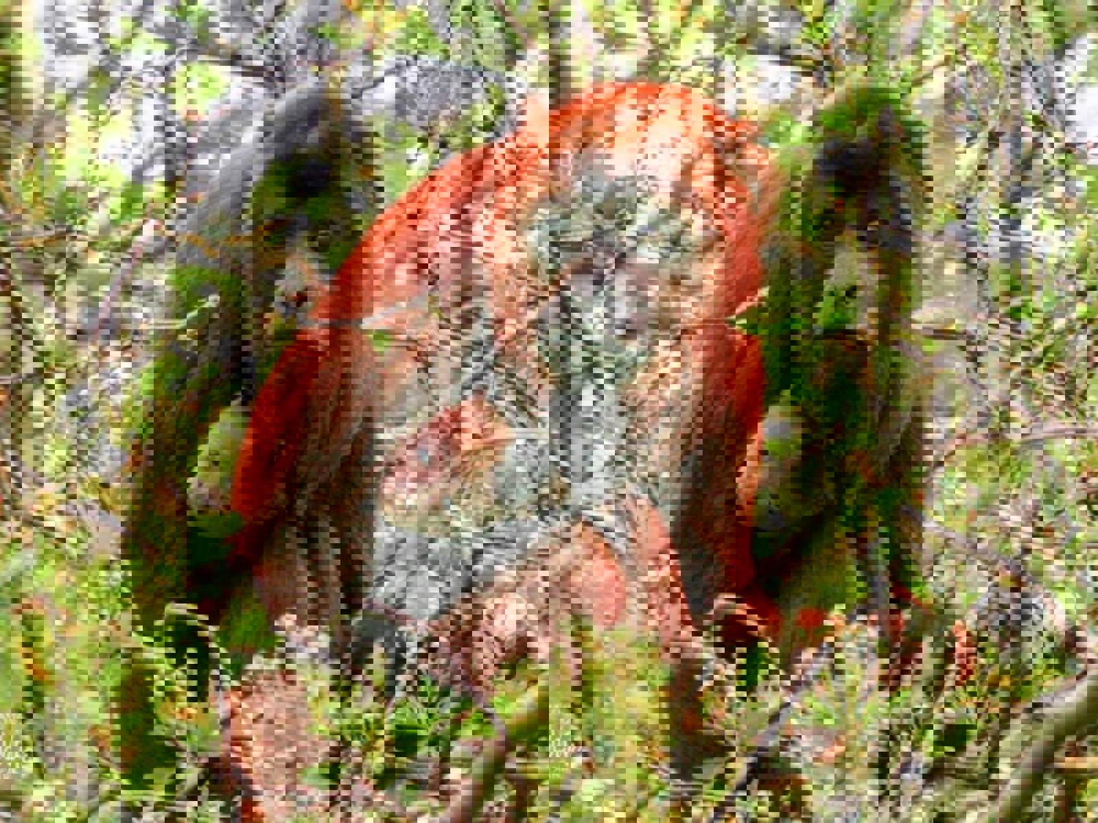 Img 0859 2