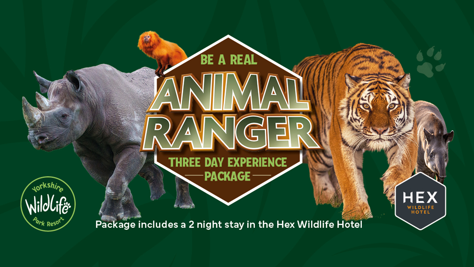 Real Ranger Monitor