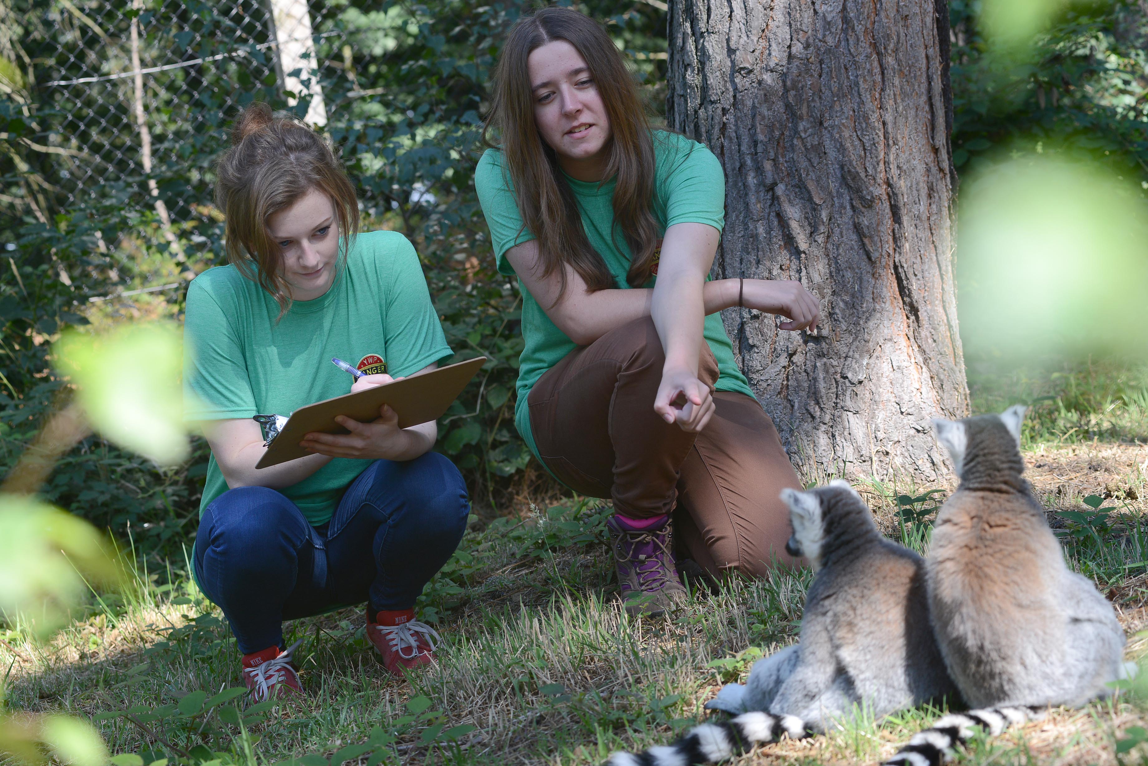 20720994042 99Ffd874a9 O