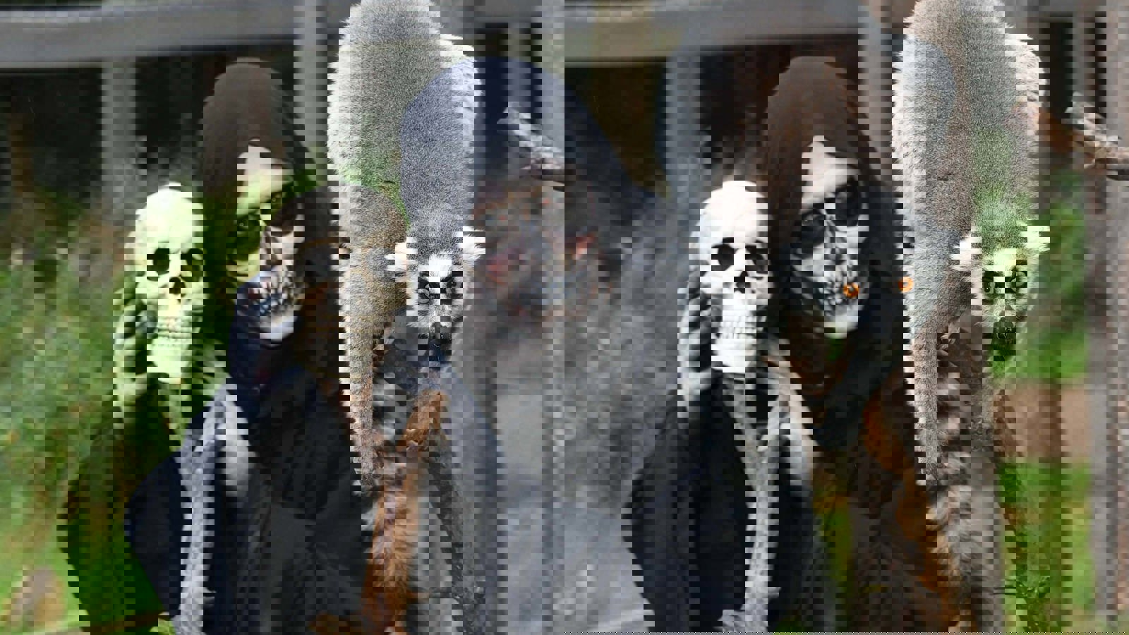 Dsc 3923 2
