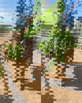 5Db557b9 3C7e 44D1 87Ad 942E6d8dc692