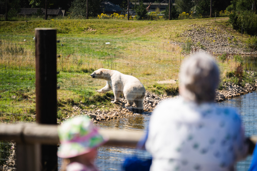 Ben Harrison Photography Www Benharrisonphotography Co Uk 90