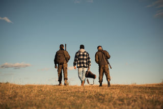 Adobestock 235696210