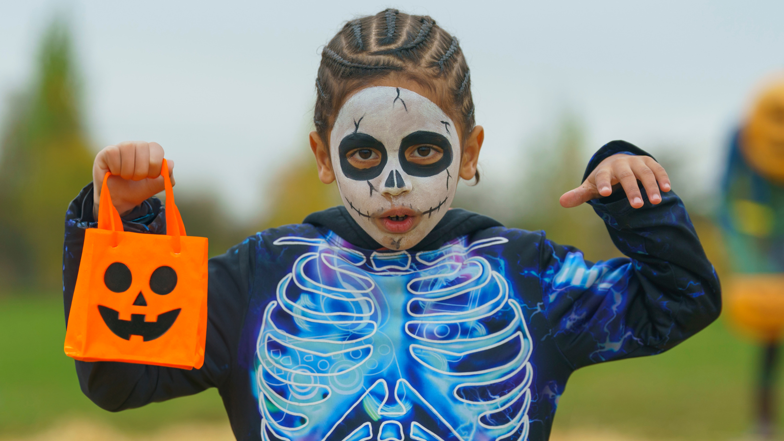 Trick Or Treat Bag