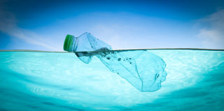 Adobestock 454965930