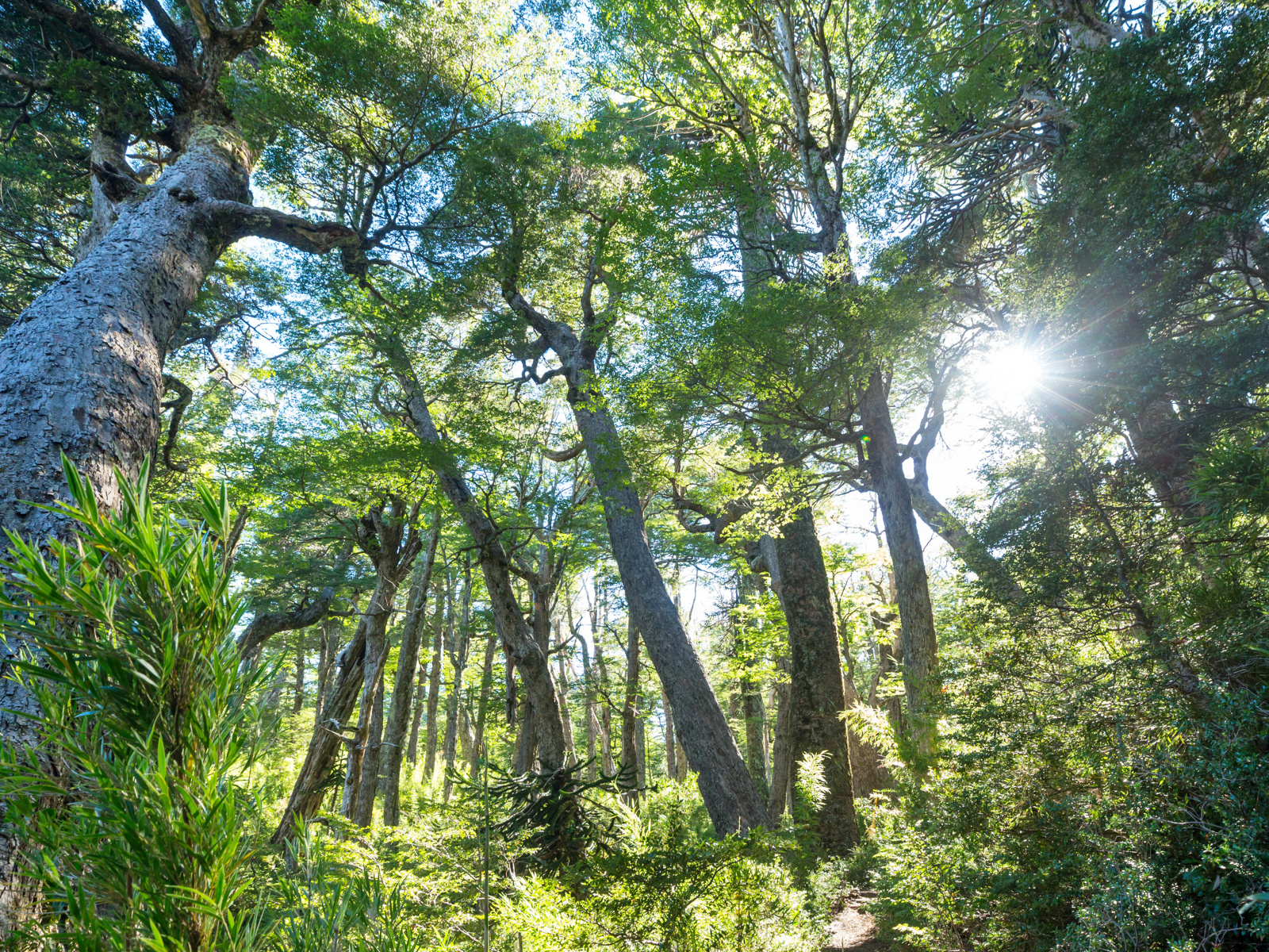 Adobestock 460796738