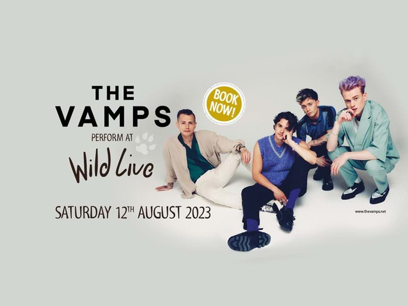 YWP 2066 The Vamps Carousel