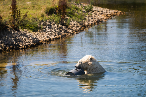 Ben Harrison Photography Www Benharrisonphotography Co Uk 85