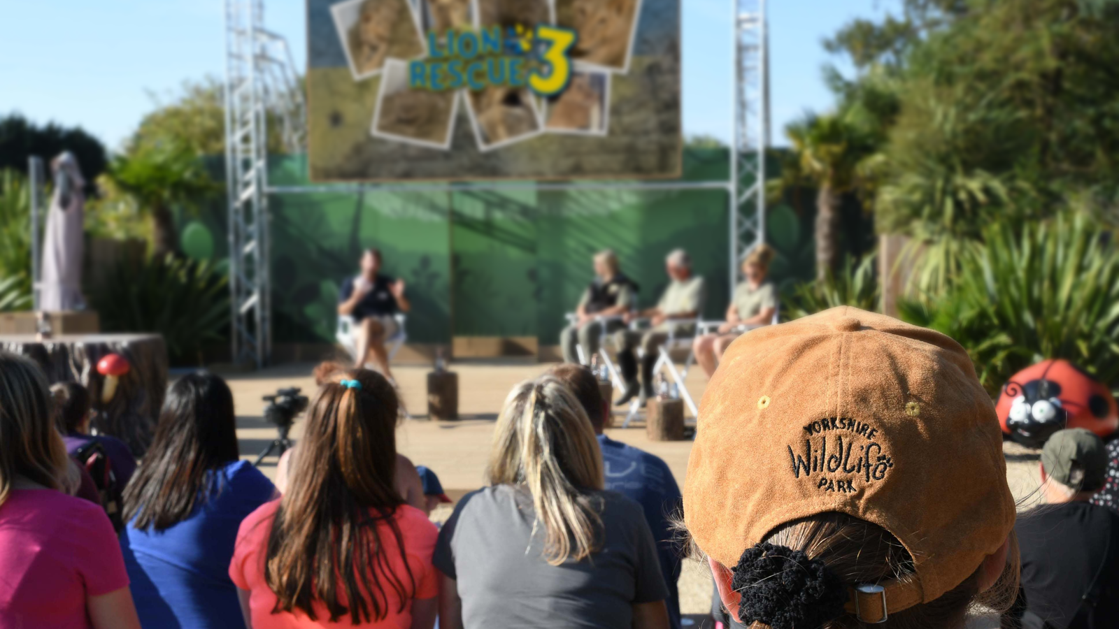 Lion Rescue 3 Qanda