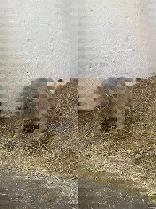 80646543 3077 4Bed 9B3e A19fbb0f0f13 3